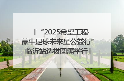 “2025希望工程·蒙牛足球未来星公益行”临沂站选拔圆满举行