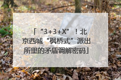 “3+3+X”！北京西城“枫桥式”派出所里的矛盾调解密码