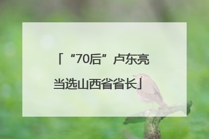 “70后”卢东亮当选山西省省长