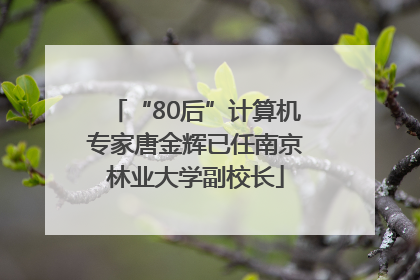 “80后”计算机专家唐金辉已任南京林业大学副校长