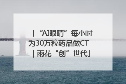 “AI眼睛”每小时为30万粒药品做CT｜雨花“创”世代