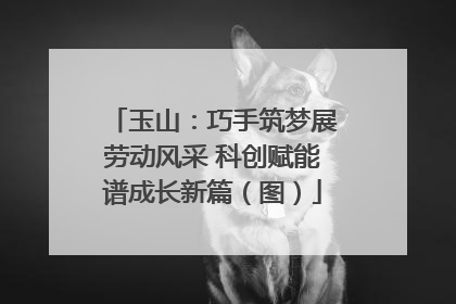 玉山：巧手筑梦展劳动风采 科创赋能谱成长新篇（图）