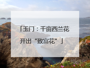 玉门：千亩西兰花开出“致富花”