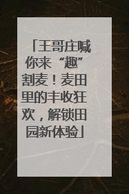 王哥庄喊你来“趣”割麦！麦田里的丰收狂欢，解锁田园新体验