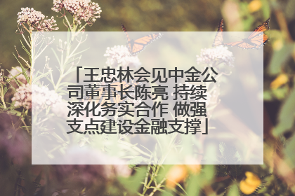 王忠林会见中金公司董事长陈亮 持续深化务实合作 做强支点建设金融支撑