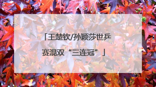 王楚钦/孙颖莎世乒赛混双“三连冠”