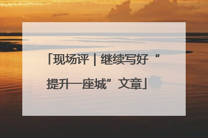 现场评｜继续写好“提升一座城”文章
