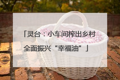 灵台：小车间榨出乡村全面振兴“幸福油”