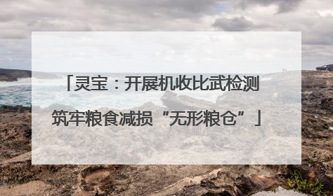 灵宝：开展机收比武检测 筑牢粮食减损“无形粮仓”