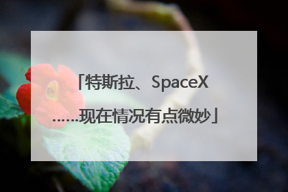 特斯拉、SpaceX……现在情况有点微妙