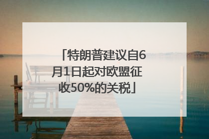 特朗普建议自6月1日起对欧盟征收50%的关税