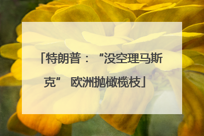 特朗普：“没空理马斯克” 欧洲抛橄榄枝
