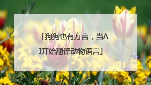 狗狗也有方言，当AI开始翻译动物语言