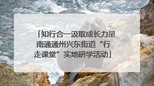 知行合一汲取成长力量 南通通州兴东街道“行走课堂”实地研学活动