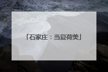 石家庄：当夏荷美