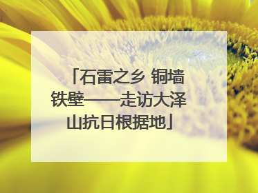 石雷之乡 铜墙铁壁——走访大泽山抗日根据地