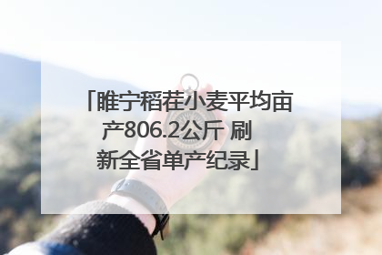睢宁稻茬小麦平均亩产806.2公斤 刷新全省单产纪录