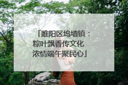 睢阳区坞墙镇：粽叶飘香传文化 浓情端午聚民心