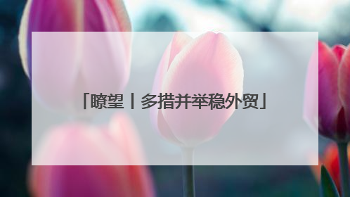 瞭望丨多措并举稳外贸
