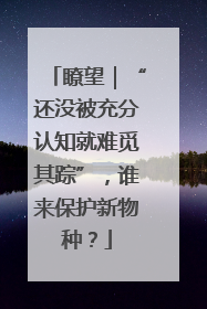 瞭望｜“还没被充分认知就难觅其踪”，谁来保护新物种？
