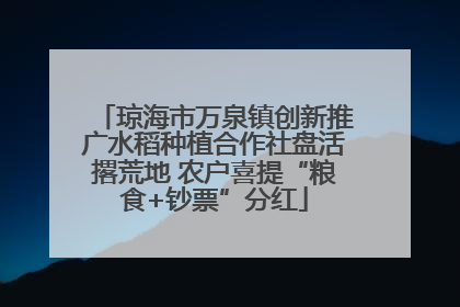 琼海市万泉镇创新推广水稻种植合作社盘活撂荒地 农户喜提“粮食+钞票”分红