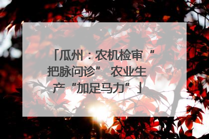 瓜州：农机检审“把脉问诊” 农业生产“加足马力”