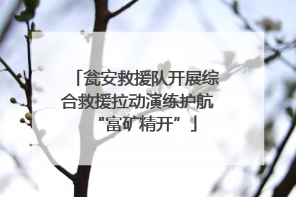 瓮安救援队开展综合救援拉动演练护航“富矿精开”