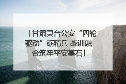 甘肃灵台公安“四轮驱动”砺精兵 战训融合筑牢平安基石