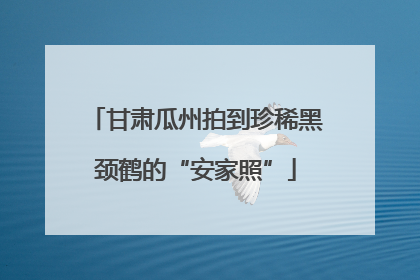 甘肃瓜州拍到珍稀黑颈鹤的“安家照”