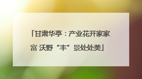 甘肃华亭：产业花开家家富 沃野“丰”景处处美