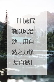甘肃民勤以风治沙：用自然之力修复自然