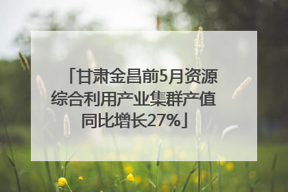 甘肃金昌前5月资源综合利用产业集群产值同比增长27%