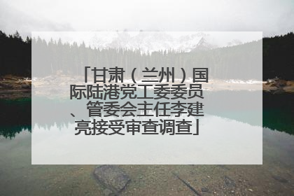 甘肃（兰州）国际陆港党工委委员、管委会主任李建亮接受审查调查
