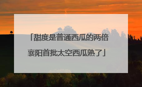 甜度是普通西瓜的两倍 襄阳首批太空西瓜熟了