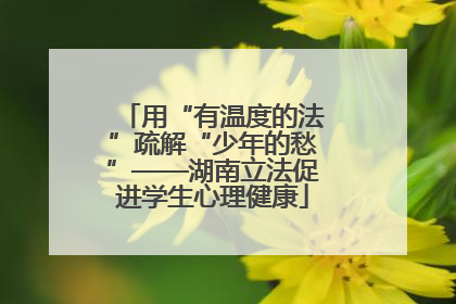 用“有温度的法”疏解“少年的愁”——湖南立法促进学生心理健康