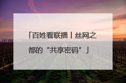 百姓看联播丨丝网之都的“共享密码”