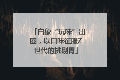 白象“玩味”出圈，以口味征服Z世代的挑剔胃