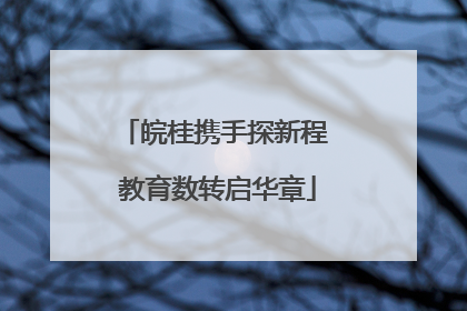 皖桂携手探新程 教育数转启华章