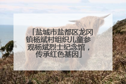盐城市盐都区龙冈镇杨斌村组织儿童参观杨斌烈士纪念馆，传承红色基因