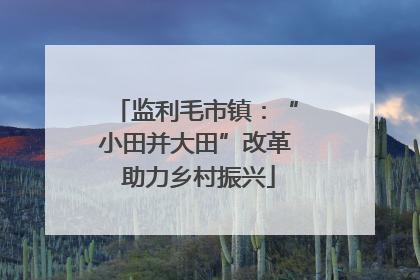 监利毛市镇：“小田并大田”改革 助力乡村振兴