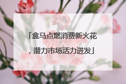 盒马点燃消费新火花，潜力市场活力迸发