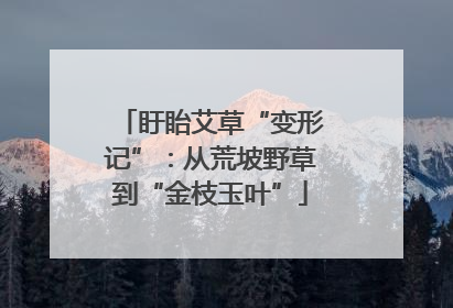 盱眙艾草“变形记”：从荒坡野草到“金枝玉叶”