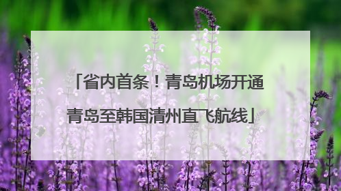 省内首条！青岛机场开通青岛至韩国清州直飞航线