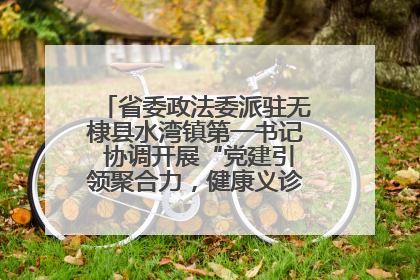 省委政法委派驻无棣县水湾镇第一书记 协调开展“党建引领聚合力，健康义诊惠乡亲”义诊活动