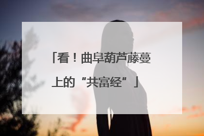 看！曲阜葫芦藤蔓上的“共富经”