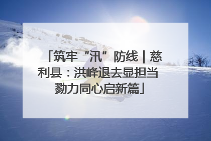 筑牢“汛”防线｜慈利县：洪峰退去显担当 勠力同心启新篇