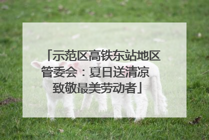示范区高铁东站地区管委会：夏日送清凉 致敬最美劳动者