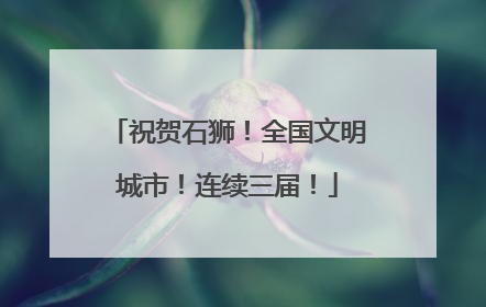 祝贺石狮！全国文明城市！连续三届！