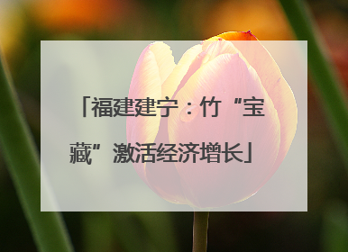 福建建宁：竹“宝藏”激活经济增长