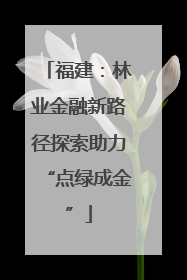 福建：林业金融新路径探索助力“点绿成金”